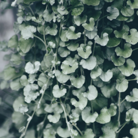 Untitled design